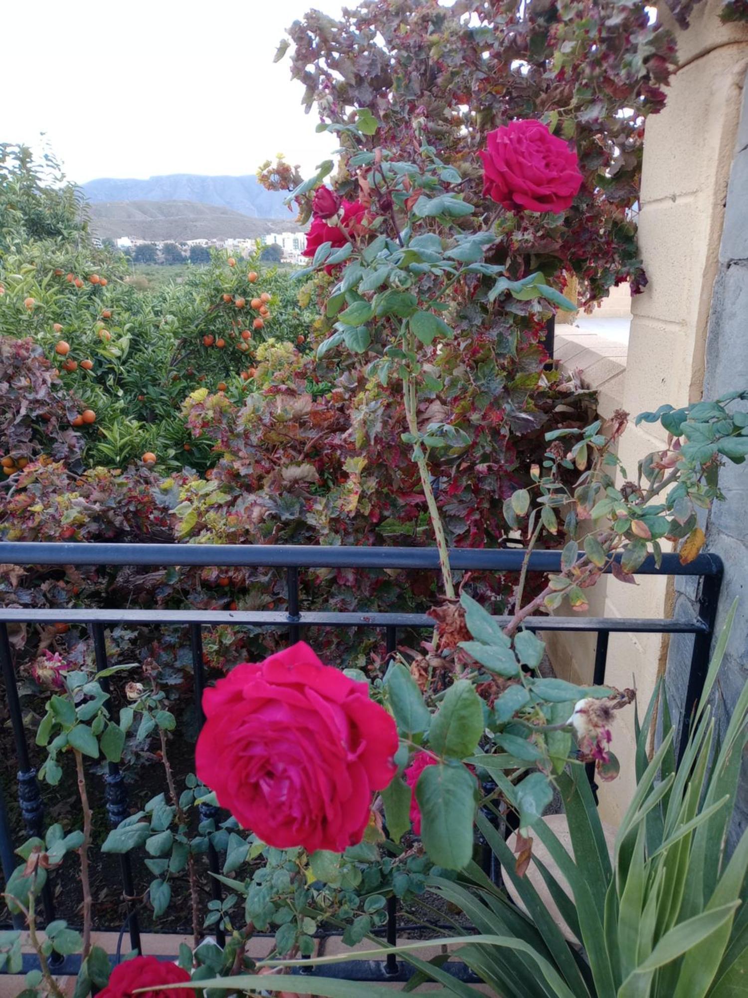 Cortijo Paulenca Villa Алмерия Екстериор снимка